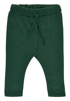 The New Dazzy sweatpants - Garden Topiary